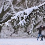 Winterwochenende(n) im Bürgerpark